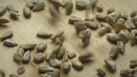 Sunflower seeds fall on a rotating board Video stock 106500518