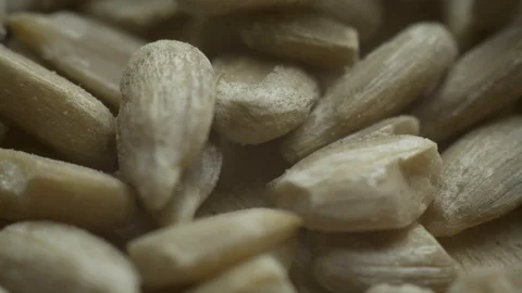 Sunflower seeds fall on a rotating board Stock Footage 106506698