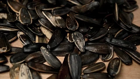 Sunflower seeds falling Stock Footage 241827527