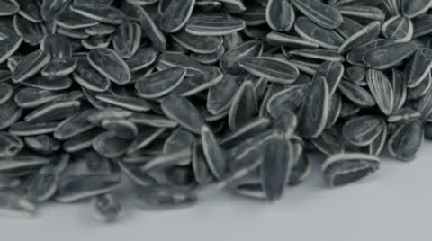 Sunflower seeds falling in slow motion Vídeos de archivo 11888414