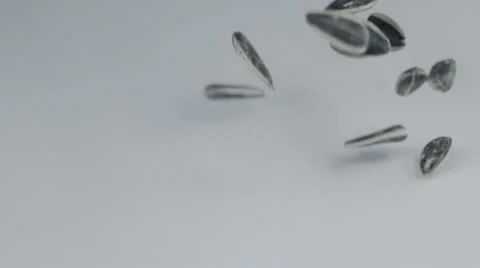 Sunflower seeds falling in slow motion Stock Footage 11888496