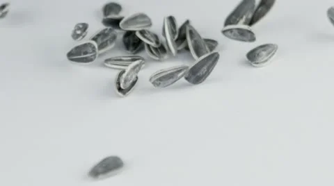 Sunflower seeds falling in slow motion Vídeos de archivo 12556809