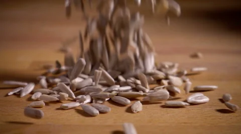 Sunflower seeds falling slow motion Stock Footage 55708359