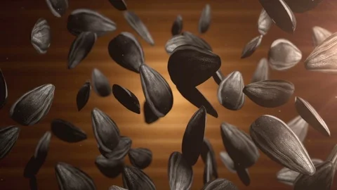 Sunflower seeds falling. Slow motion. Видео 70194882