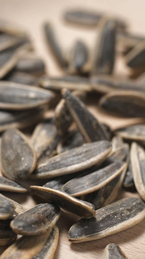 Sunflower seeds falling slow-motion close-up Stock Footage 323312186