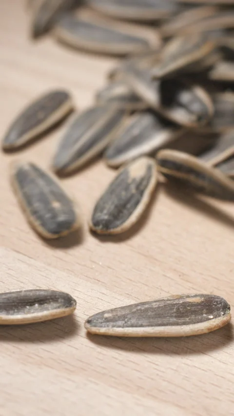 Sunflower seeds falling slow-motion close-up Stock Footage 323312929