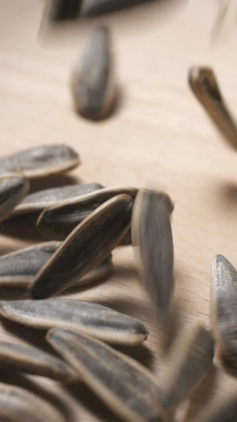 Sunflower seeds falling slow-motion close-up Stock Footage 323312974