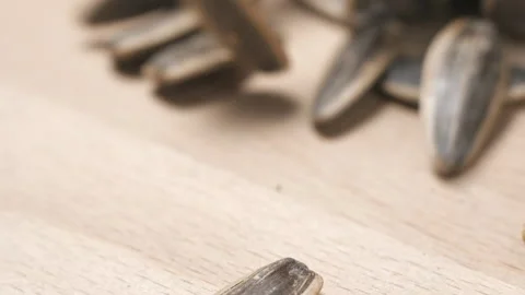 Sunflower seeds falling slow-motion close-up Stock Footage 323313034