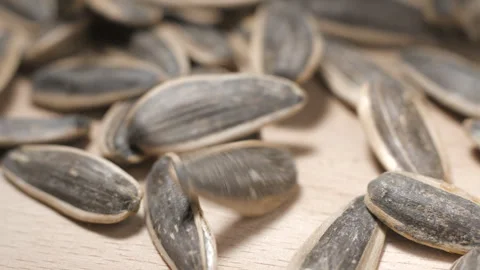 Sunflower seeds falling slow-motion close-up Stock Footage 323313046