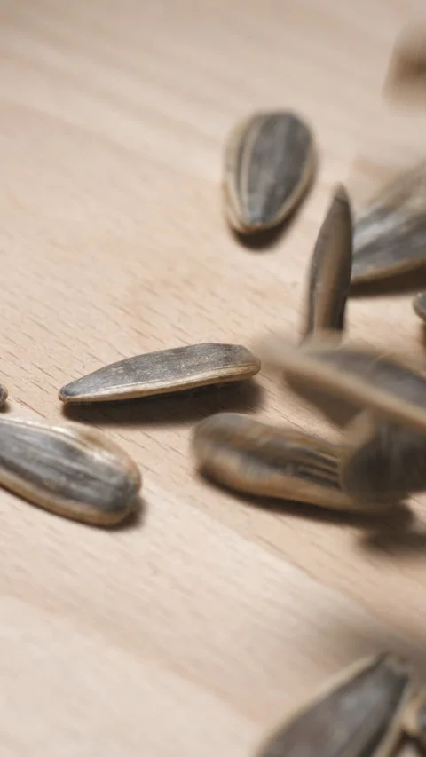 Sunflower seeds falling slow-motion close-up 스톡 동영상 323313168