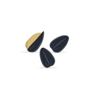 Sunflower seeds flat icon with shadow on a white background Stock Illustration