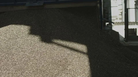 Sunflower seeds Stock Footage 42758793