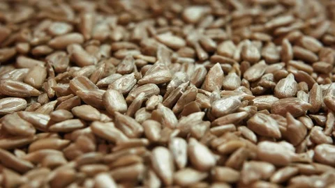 Sunflower seeds Stock Footage 99316973