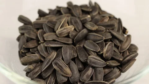 Sunflower seeds Stock Footage 123567926