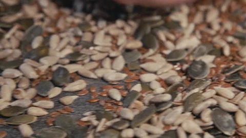 Sunflower Seeds 库存影片 124305836