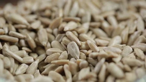Sunflower seeds Video stock 139759694