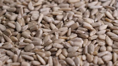 Sunflower seeds Stock Footage 252986465