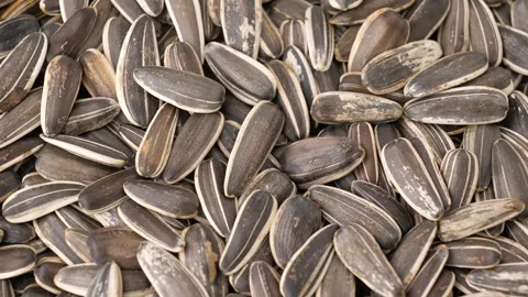 Sunflower seeds Stock Footage 253368320