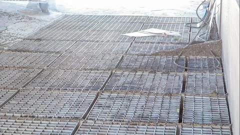 Sunflower seeds going down through the grid to elevator timelapse. Electrical Stock Photos