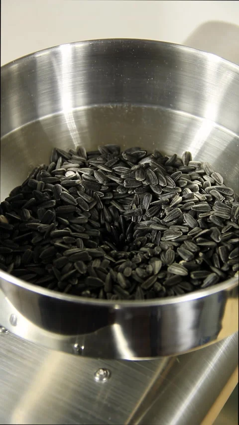 Sunflower seeds in the hopper, which fall into the extruder. Stock Footage 168888079