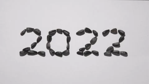 Sunflower seeds lie on the table in the shape of the number 2022 Stock Footage 162777229