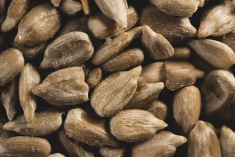 Sunflower seeds macro close up Stock Photos