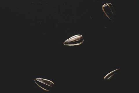 Sunflower seeds Macro close up Stock Photos