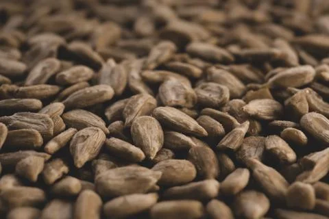 Sunflower seeds macro close up , selective focus Stock Photos