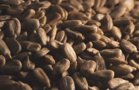 Sunflower seeds macro close up , selective focus Stock Photos
