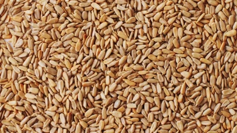 Sunflower seeds macro closeup view showcasing the intricate details of golden Stock Footage 285437201