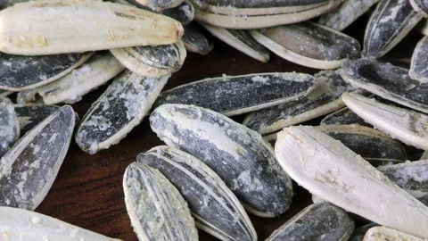 Sunflower Seeds Macro View Stock Footage 87562950