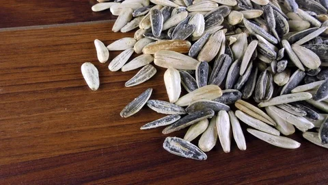 Sunflower Seeds Macro View Stock Footage 87563964