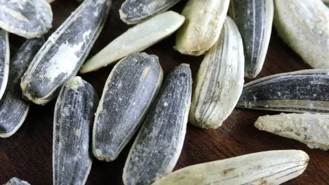 Sunflower Seeds Macro View Stock Footage 87566281