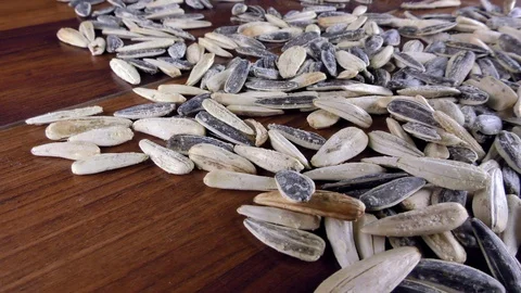 Sunflower Seeds Macro View Stock Footage 87567933