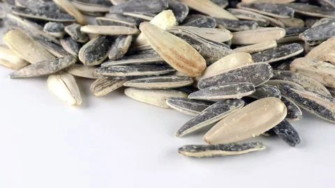 Sunflower Seeds Macro View Stock Footage 87573630