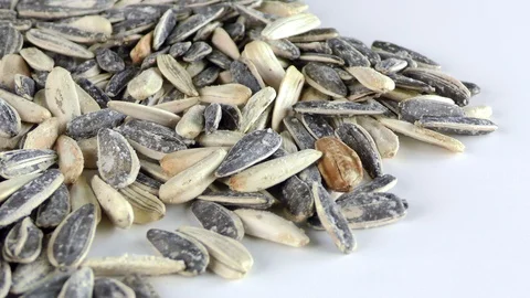 Sunflower Seeds Macro View Stock Footage 87574101