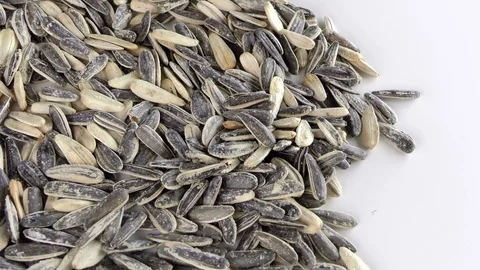 Sunflower Seeds Macro View Stock Footage 87574197