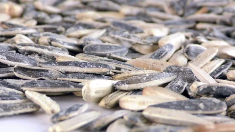 Sunflower Seeds Macro View Stock Footage 87574764