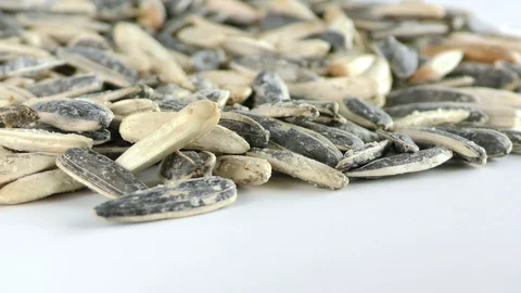 Sunflower Seeds Macro View Stock Footage 87574859