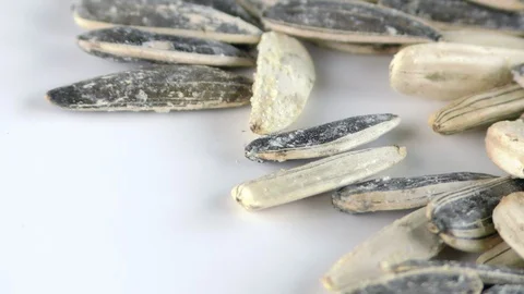 Sunflower Seeds Macro View Stock Footage 87585452