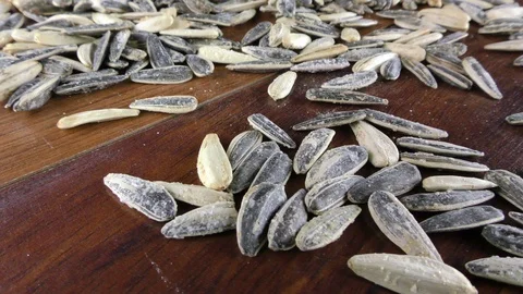 Sunflower Seeds Macro View Stock Footage 87585596