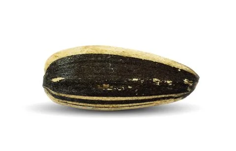 Sunflower seeds macro white background isolated Stock Photos