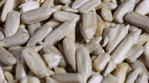 Sunflower seeds overhead view Stock Footage 55742356
