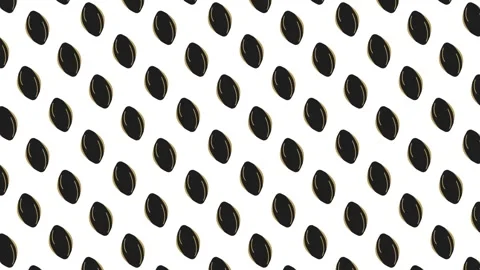 Sunflower seeds Pattern Background Stock Footage 323288921