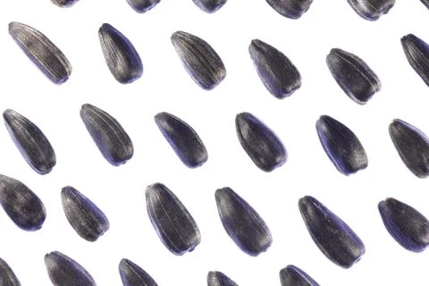 Sunflower Seeds Pattern. Isolated Background. Detailed Texture. Macro Closeup Stock Photos