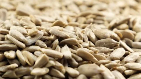 Sunflower seeds, peeled, without shell. Background of peeled not roasted seed Fotos de archivo