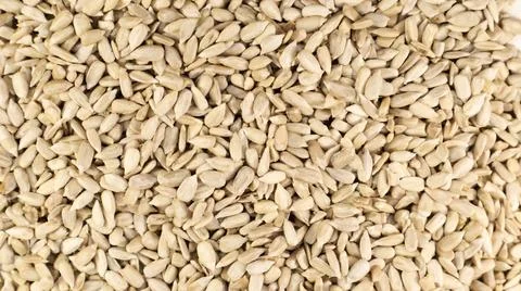 Sunflower seeds, peeled, without shell. Background of peeled not roasted seed Fotos de archivo