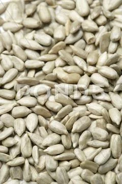 Sunflower seeds Stock Photos