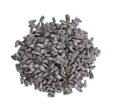 Sunflower seeds. 스톡 사진