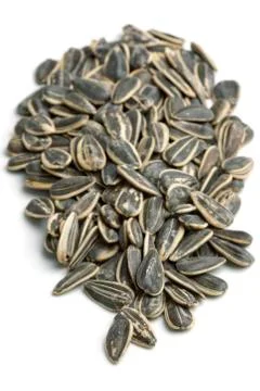 Sunflower seeds Stock Photos